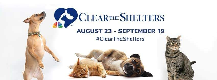 Clear the Shelters - August 23 - September 19 #ClearTheShelters